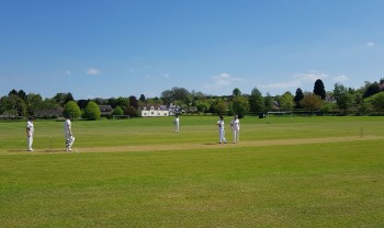 Cricket at CFCC